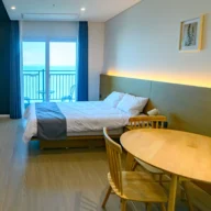 프리미엄 디럭스